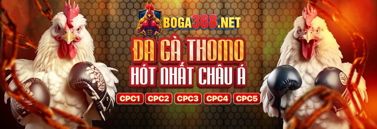 Khuyến mãi đá gà Loto188